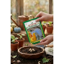 Arzuman Bal Kabağı Tohumu 10 gr
