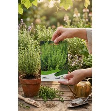 Nesil Tohum Kekik Tohumu 100 Adet