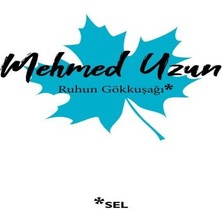 Decostyle Ruhun Gökkuşağı