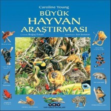 Decostyle Büyük Hayvan Araştırması