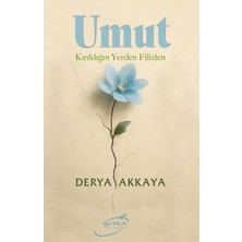 Decostyle Umut
