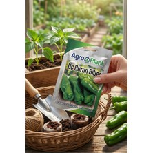 Agroplant Agro Plant Üç Burun Biber Tohumu 25 gr