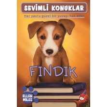 Decostyle Sevimli Konuklar 5 - Fındık