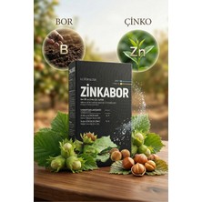Zinkabor Ec Fertilizer Mikro Elementli Gübre 1kg