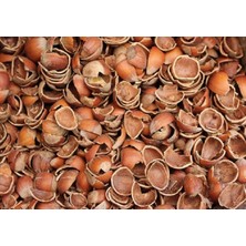 Bioak Fındık Kabuğu Yakıt 25 Kg