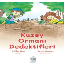 Decostyle Kuzey Ormanı Dedektifleri
