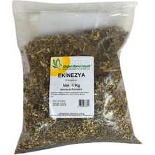 Decostyle Ekinezya Si Doğal 1000 gr Paket