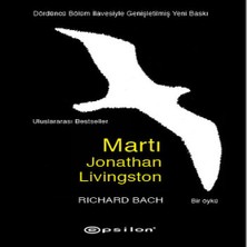 Decostyle Martı Jonathan Livingston