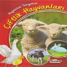 Decostyle Hayvanları Tanıyorum Çiftlik Hayvanları