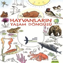 Decostyle Hayvanların Yaşam Döngüsü
