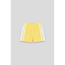 NBT BSC Bg Store Erkek Bebek Renkli Şort Takım