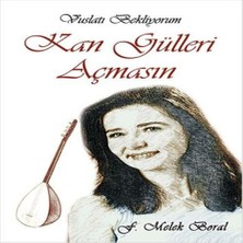 Decostyle Kan Gülleri Açmasın