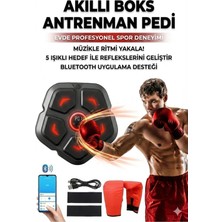 Hobilinka Akıllı Duvar Boks Hedefi: Bluetooth Müzikli, Işıklı Refleks ve Stres Atma