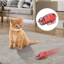 Feyza Design Hareketli Kedi Oyuncağı Kırmızı Uğur Böceği Şeklinde