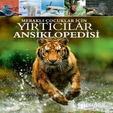 Decostyle Meraklı Çuklar Için Yırtıcılar Ansiklopedisi