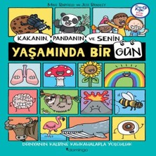 Decostyle Kakanın, Pandanın ve Senin Yaşamında Bir Gün