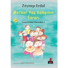 Kırmızı Kedi Yayınevi METEOR YAZ KAMPININ ESRARI