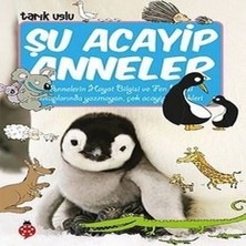 Decostyle Şu Acayip Anneler