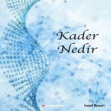 Decostyle Kader Nedir