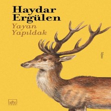 Decostyle Yayan Yapıldak