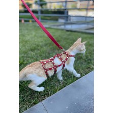 Hobilinka Full Body Kedi Harness, Kedi Gezdirme Tasması, Kedi Sokak Tasması - NPC011