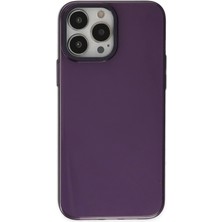 Hobilinka  iPhone 13 Pro Max Kılıf Anka Pc Sert Metal Kapak - Mor