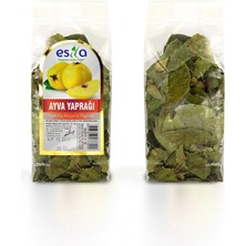 Hobilinka Poşet Ayva Yaprağı 25 Gr.