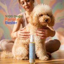 Holidog %100 Doğal Köpek ve Kedi Tüy Bakım Yağı Parlaklık & Koruma | Lavanta Kokulu | Bakanlık Onaylı