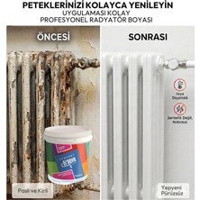 Bi'Boya Isıya Dayanıklı Radyatör Petek Boyası 0,75 Lt Beyaz