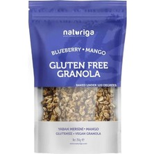 Naturiga Glutensiz Yaban Mersini Mango Granola 250gr
