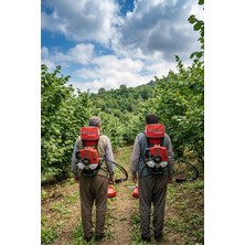 Solax BGTC64 Benzinli Sırt Tırpan Motoru 3.0 Hp