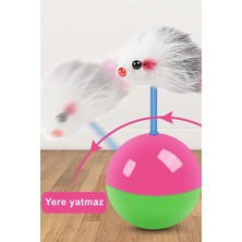 Feyza Design Çok Renkli Hareketli Kedi Topu Eğlenceli Oyun Zeka Oyuncağı