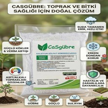 Cas Gübre Toprak Düzenleyici, Suda Çözülebilen Kalsiyum Sülfat Gübresi