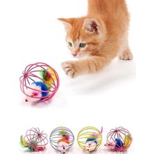 Feyza Design Çok Renkli Kedi ve Köpek Zeka Oyuncağı