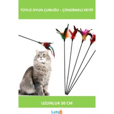 Feyza Design Çıngıraklı Tüylü Kedi Oyun Çubuğu 50 cm - Eğlence Dolu Anlar