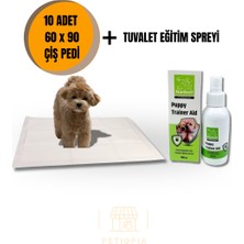 Golden Köpek Çiş Pedi 10'lu 60X90CM ve Nanbell Tuvalet Eğitim Spreyi
