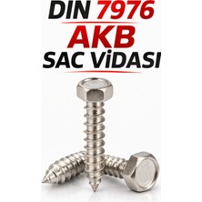 Cıvata Deposu Dın 7976 5.5X38 Akb Sac Vidası 100 Adet