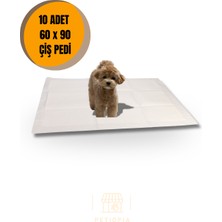 Golden Köpek Eğitim Çiş Pedi 10'lu 60X90CM