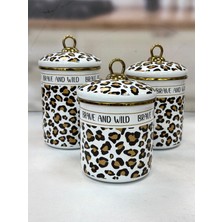 Acar Qualita Nova 3 Lü Kavanoz Takımı