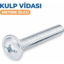 Cıvata Deposu Dın 7985 Kulp Vidası M5X12 100 Adet