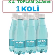 Akmina Maden Suyu 250 ml - 1 Koli