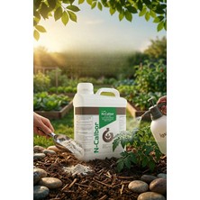 İgsaş N-Calbor Kalsiyum Nit-rat Çözeltisi Bitki Bakım Sıvı Gübre 25 L