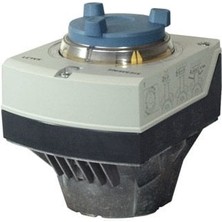 Siemens Vana Motoru SAL61.00T10