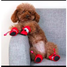 Köpek ve Kedi Için Renkli Ayakkabı Patik Seti (4 Adet)