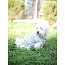 Feyza Design Gri Renkli Küçük ve Orta Irk Köpek Yeleği