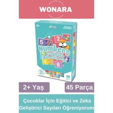 Feyza Design Eğitici Zeka Geliştirici Seti: El-Göz Koordinasyonu ve Sayı Öğrenimi