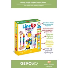 Feyza Design Montessori Renk ve Şekil Sıralama Oyunu Çocuk Eğitici Seti