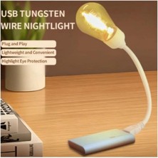 Evinizin Vitrini Kitap Okuma/kamp Işığı/gece Lambası Retro Otantik USB Girişli Lamba Kırılmaz Lamba