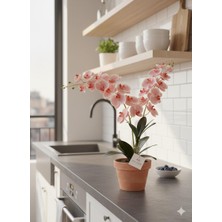 Miha Deco Yapay Islak ve Gerçekci Görünümlü Pembe Orkide Çiçeği