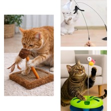 Feyza Design 3'lü Çok Renkli Kedi Oyuncak Seti Fırsatı